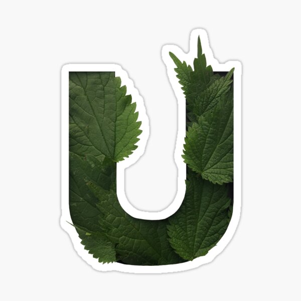 Floral Letter U Urtica Dioica Autumn Font Sticker For Sale By