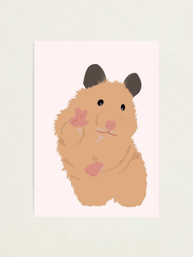 Peace Sign Hamster Meme Photographic Print By Johannapoldemaa Redbubble