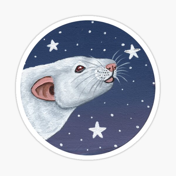 Albino Rat Stargazing Sticker For Sale By WolfySilver Redbubble