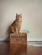 Spilt Milk by Catherine Holmes