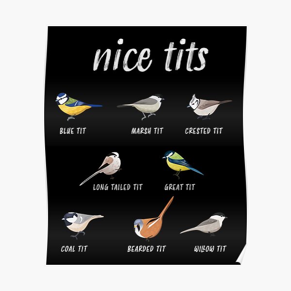 Nice Tits Funny Bird Watching Gift For Birder Men And Women Poster By