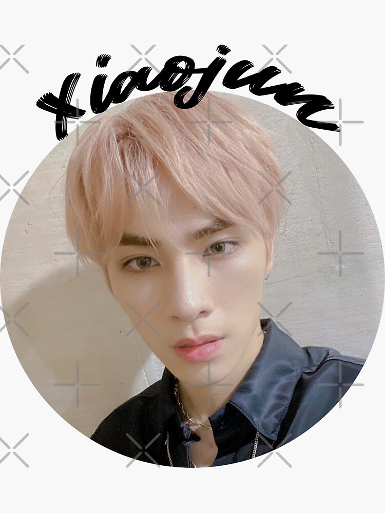 Nct Wayv Xiaojun Sticker For Sale By Johncynbeom Redbubble