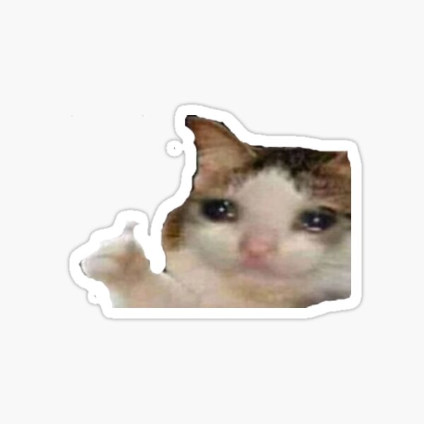 Gato Llorando Duren Meme Sentado Gatito Cara Michi Protagonista