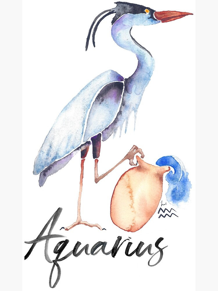 Aquarius Aka The Water Bearer Watercolor Illustration Art Print For