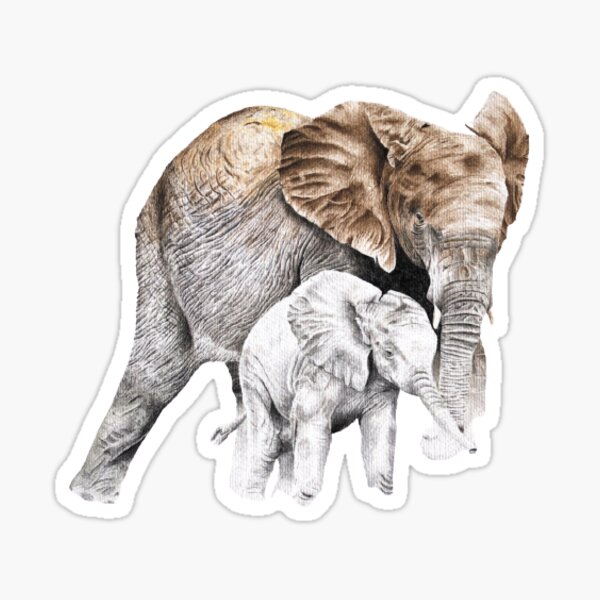 Elephant And Baby Sticker For Sale By Art By Trev Redbubble