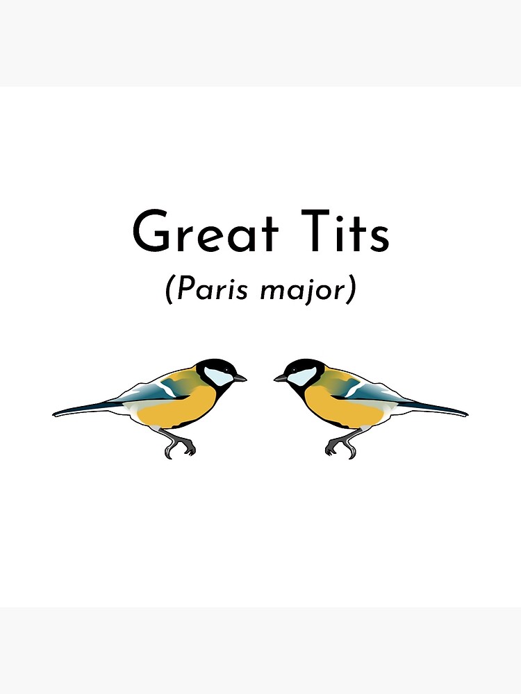 Great Tits Funny Bird T Shirt Black Text Poster By BirdWorksRI