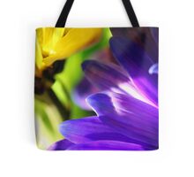 Colorful Flower Photo
