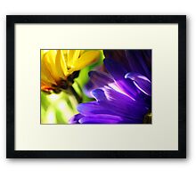 Colorful Flower Photo