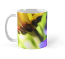 Colorful Flower Photo