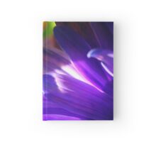 Colorful Flower Photo