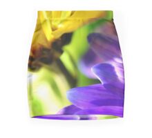 Colorful Flower Photo