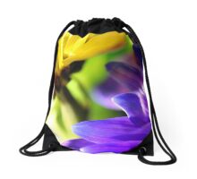 Colorful Flower Photo
