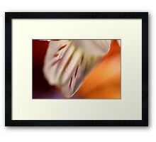 Colorful Flower Portrait