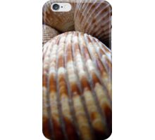 Macro Photo Sea Shell