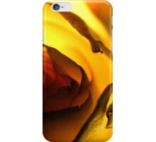 Macro Photo Yellow Flower