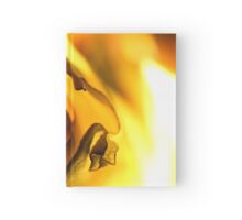 Macro Photo Yellow Flower
