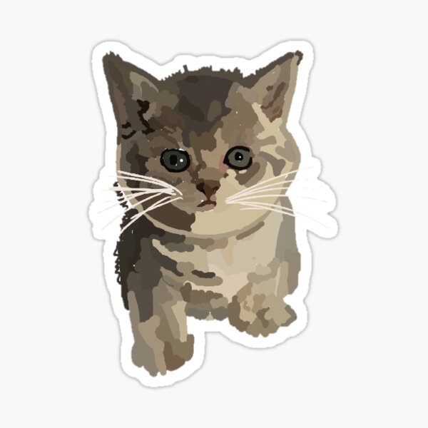 Kitten Doodle Sticker For Sale By Kaitlyn 223e4 Redbubble