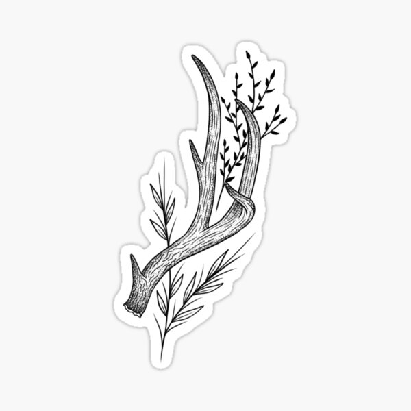 Floral Antler Design Sticker For Sale By Art Kye Redbubble