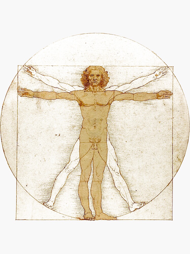 Vitruvian Man 1111 Sticker For Sale By Anotherra Redbubble