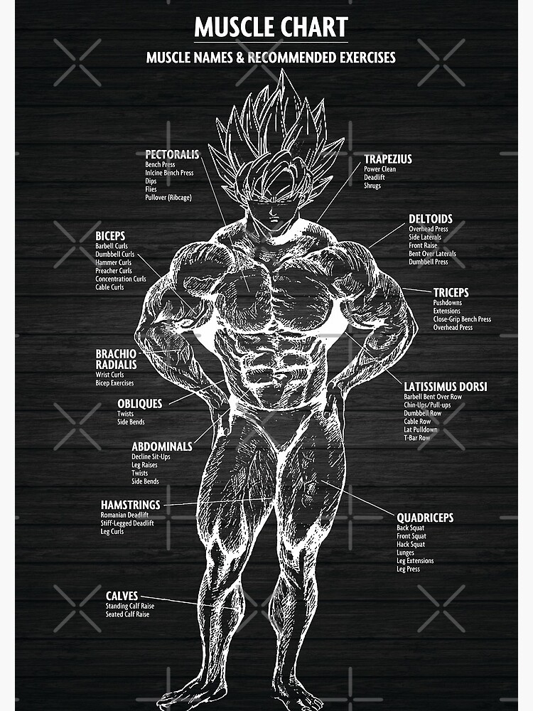 Muscle Chart Anatomy Diagram Anime Gym Motivational Spiral