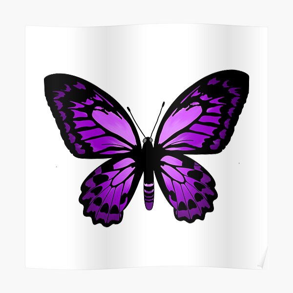 Purple Butterfly Poster For Sale By Chelseadavid Redbubble