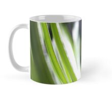 Macro Photo Green Grass