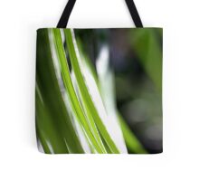 Macro Photo Green Grass