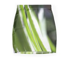 Macro Photo Green Grass