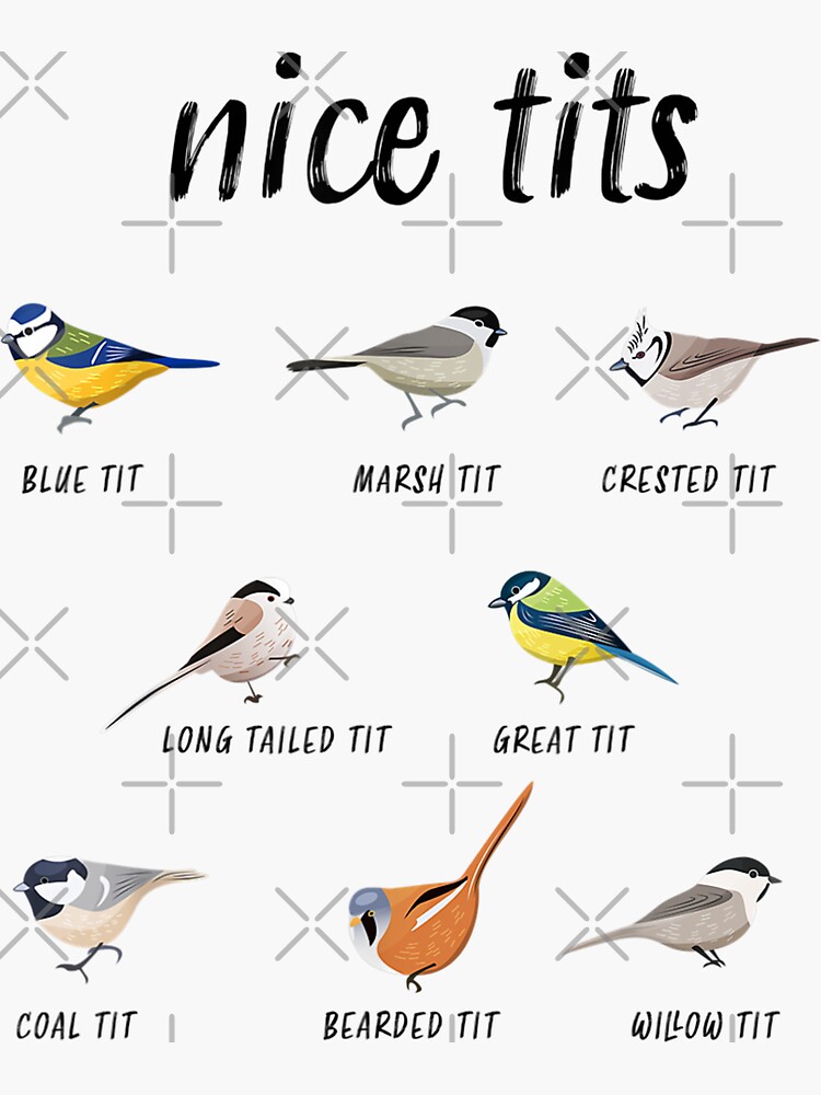 Funny Nice Tits Bird Watching Gift For Birder Men Women Sticker