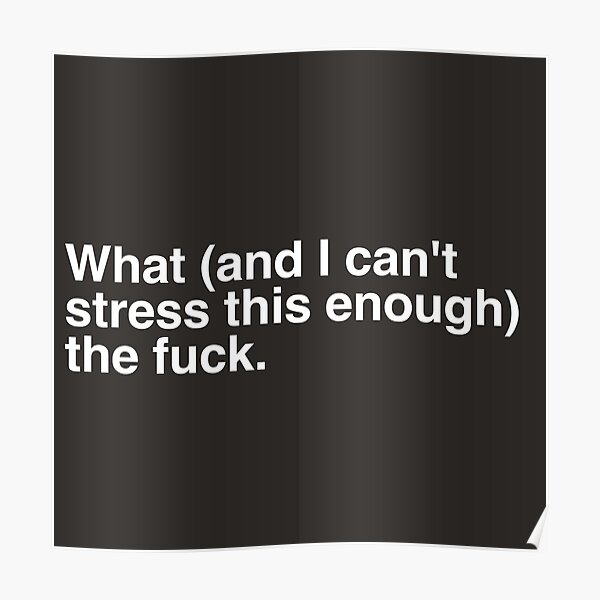 WHAT AND I CANT STRESS THIS ENOUGH THE FUCK STICKER Poster By