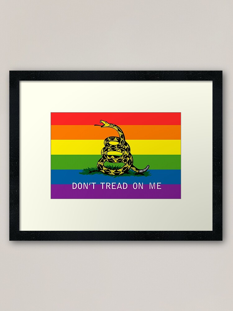 Gadsden Gay Pride Flag Framed Art Print For Sale By Maddesign Redbubble