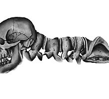 Caterpillar by Rye Hanlon