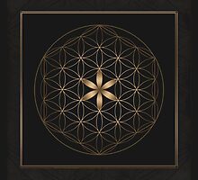 The Flower Of Life II by Daniel Watts