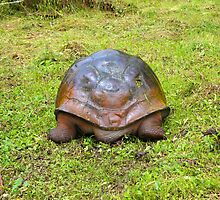 North End Of Galapagos Giant Tortoise Going South by Al Bourassa