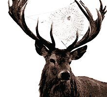 Ancient Stag by UneartheDesigns