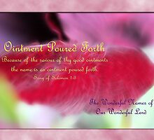 Ointment Poured Forth by aprilann