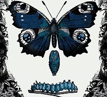 Grave of the Butterflies by Ryan Miller