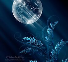Birth Of Winter by Stephanie Rachel Seely