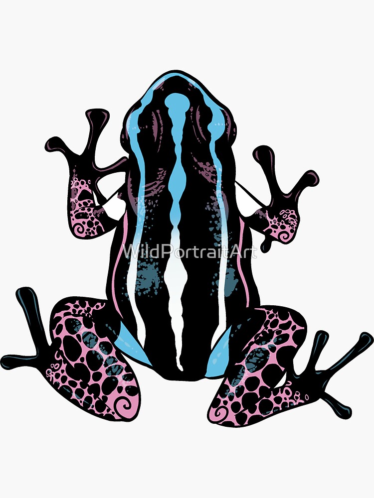 Transgender Pride Dart Frog Subtle Gsd Lgbtqia Pride Flag Frogs