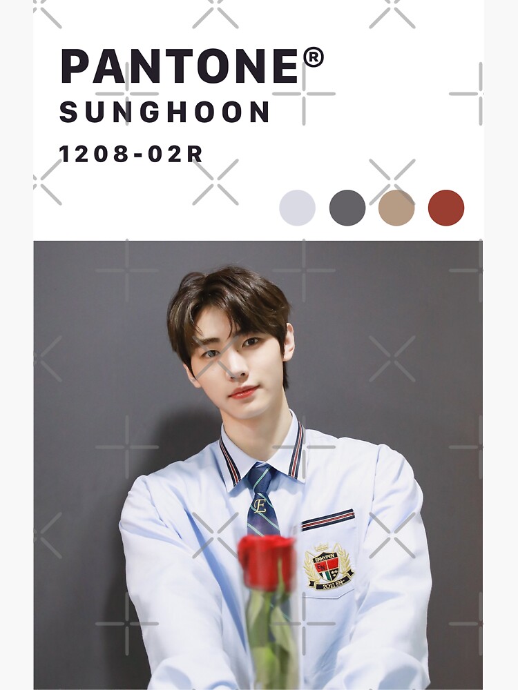 ENHYPEN Sunghoon Pantone Ver Sticker For Sale By Yeasitrus Redbubble