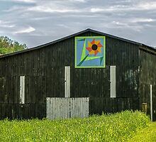 Kentucky Barn Quilt - Flower of Friendship by mcstory