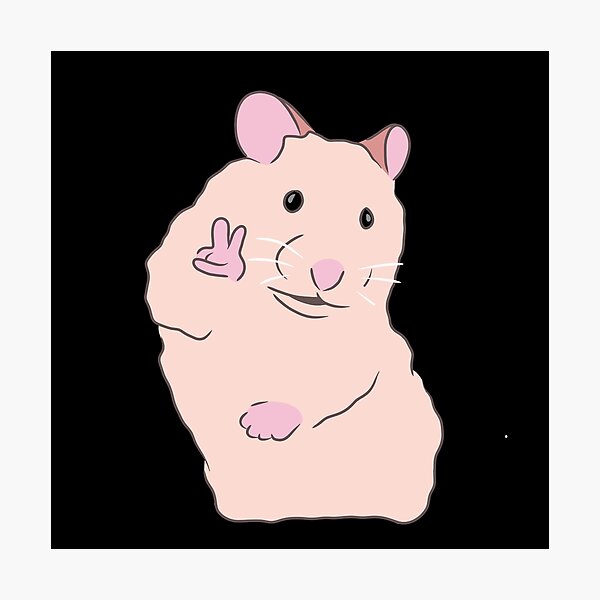 Hamster Peace Sign Meme Photographic Print For Sale By Pauli Redbubble