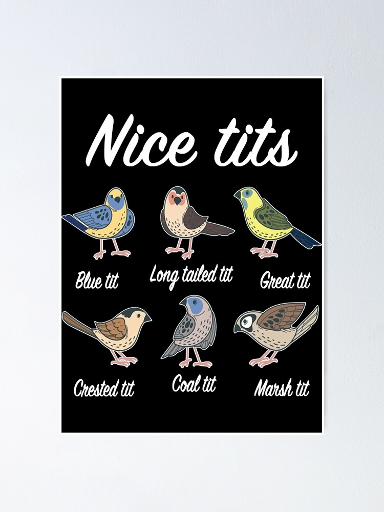 Nice Tits Titmouse Bird Watcher Bird Lover Poster For Sale By