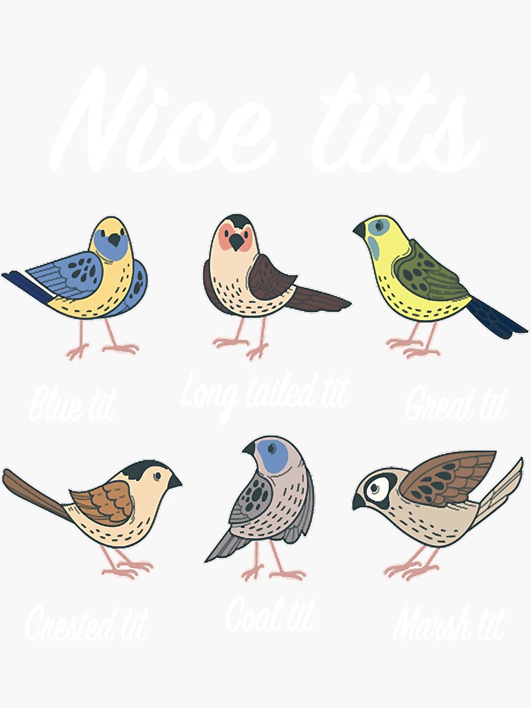 Nice Tits Titmouse Bird Watcher Bird Lover Sticker For Sale By