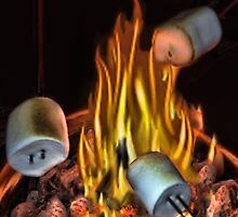 。◕‿◕。 TOASTING MARSHMALLOWS PICTURE/CARD。◕‿◕。 by ✿✿ Bonita ✿✿ ђєℓℓσ