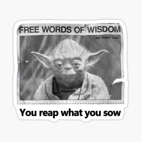 You Reap What You Sow Sticker For Sale By Alaaaldiynexp Redbubble