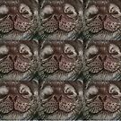 Seals of Approval by hiraeth