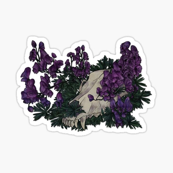 Aconite Skull Sticker For Sale By Wolfsbann Redbubble