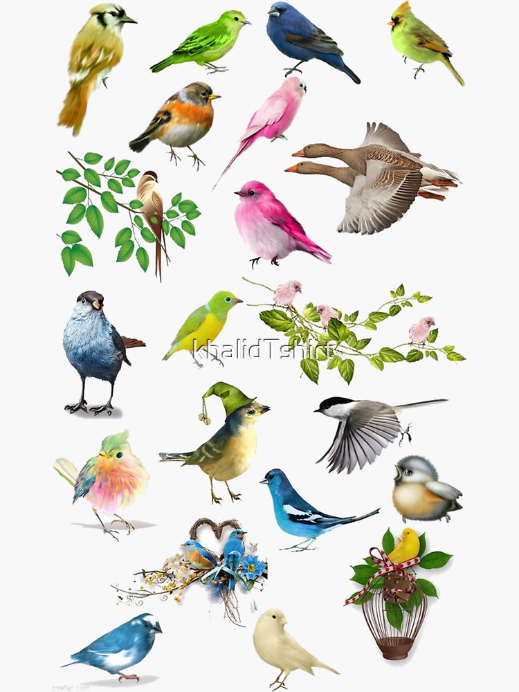 Beautful Birds Sticker For Sale By KhalidTshirt Redbubble