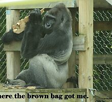 Where the brown bag got me. by Thomas Murphy